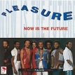 Pleasure Now Is The Future: The Best Of Pleasure Volume 2 (LP) Формат: Грампластинка (LP) (Картонный конверт) Дистрибьюторы: Ace Records, ООО Музыка Германия Лицензионные товары инфо 13796z.
